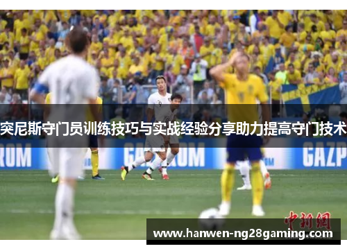 突尼斯守门员训练技巧与实战经验分享助力提高守门技术