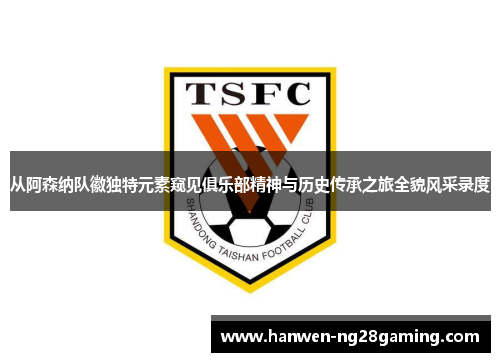 从阿森纳队徽独特元素窥见俱乐部精神与历史传承之旅全貌风采录度