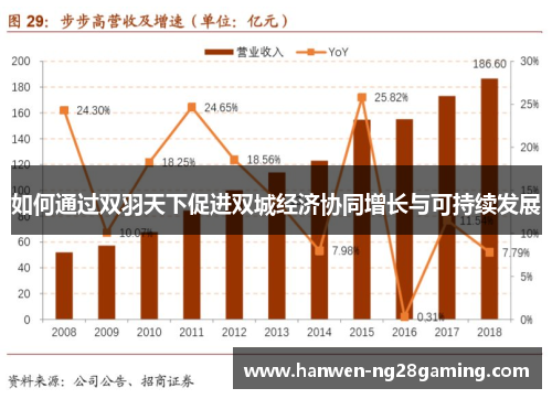 如何通过双羽天下促进双城经济协同增长与可持续发展