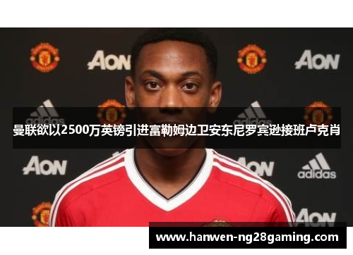 曼联欲以2500万英镑引进富勒姆边卫安东尼罗宾逊接班卢克肖